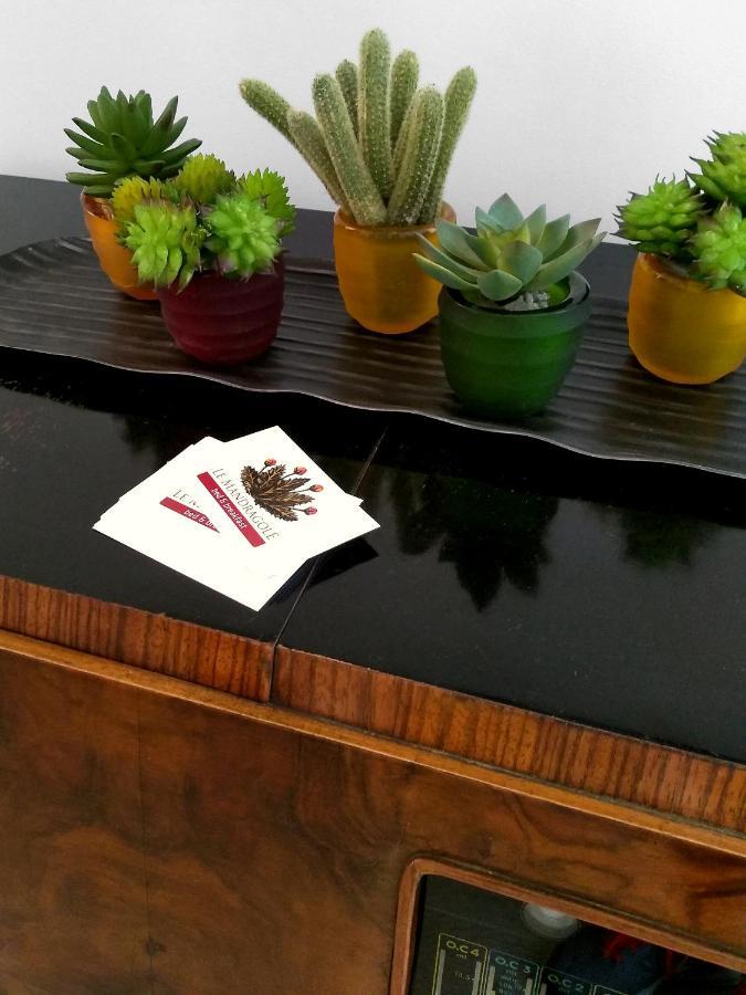 Le Mandragole B&B ロンカーデ エクステリア 写真